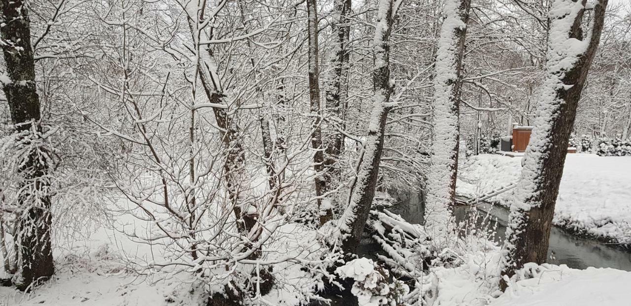 Vodenica Vrelo Chalets Vrelo Koreničko Eksteriør bilde